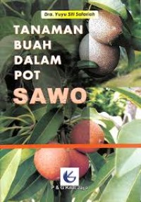 Image of Tanaman Buah dalam Pot Sawo